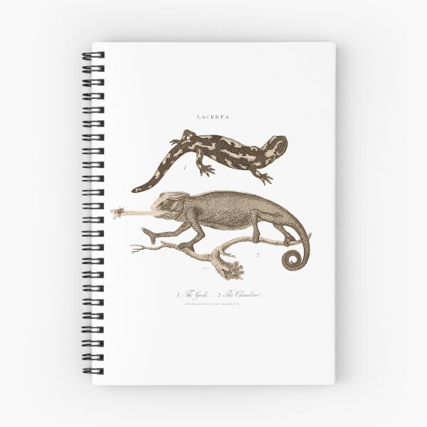 Item preview, Antique Georgian 19th Century Engraving illustration lizard Chameleon Gecko Sepia print designed and sold by CoreImaging.