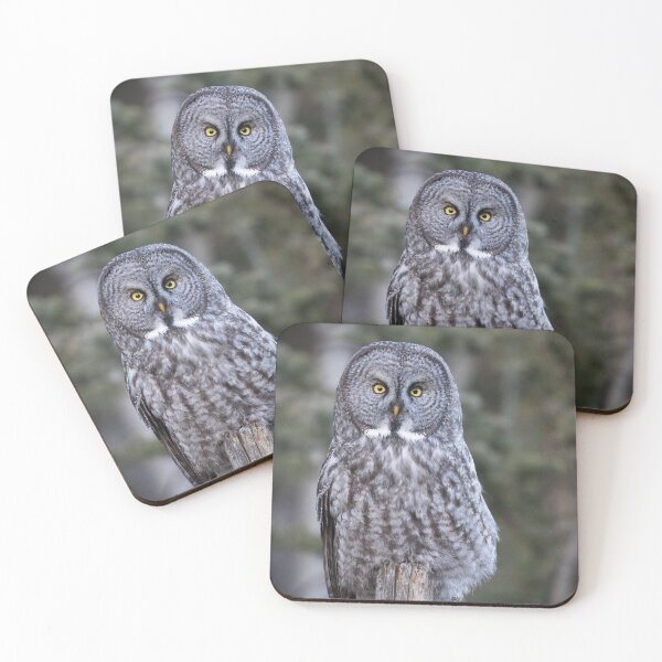 Item preview, In Plain Sight designed and sold by CozyCabinStuff.