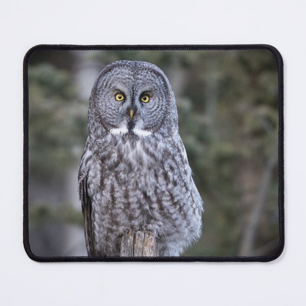 Item preview, In Plain Sight designed and sold by CozyCabinStuff.