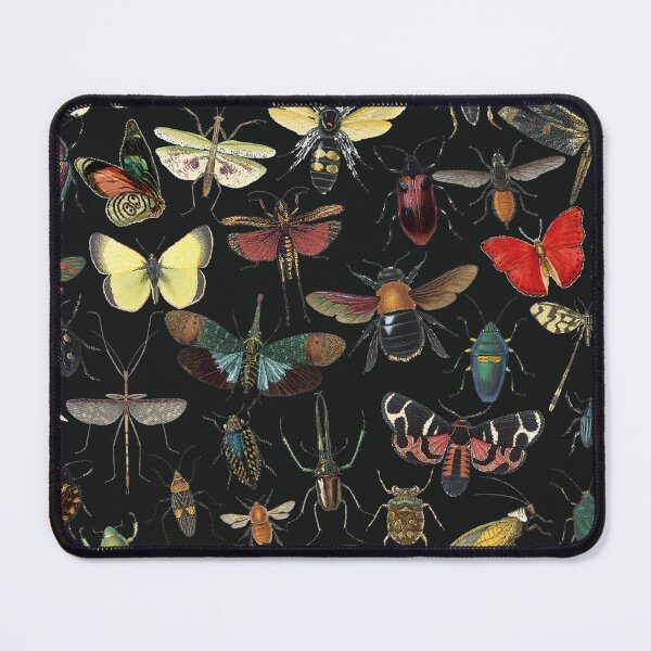 Item preview, Lovely Butterfly Black designed and sold by Muycote.