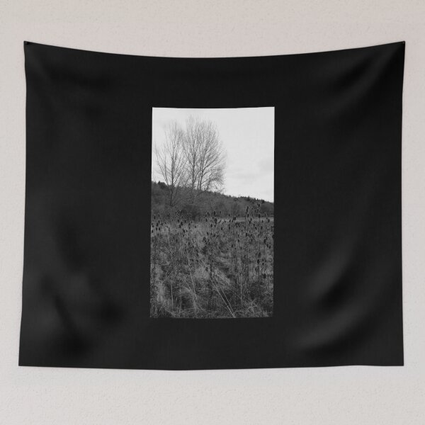 Item preview, Teasels in Winter designed and sold by David JC.
