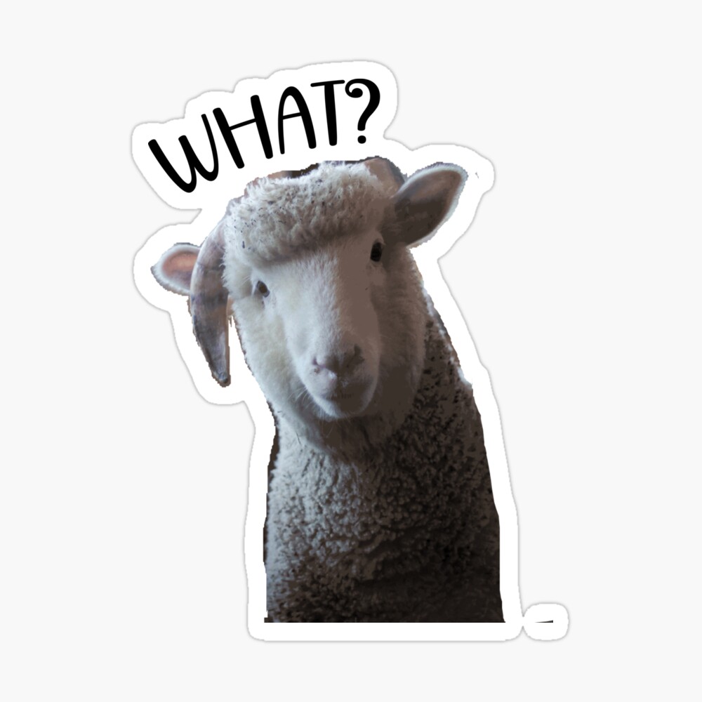 Memesheep