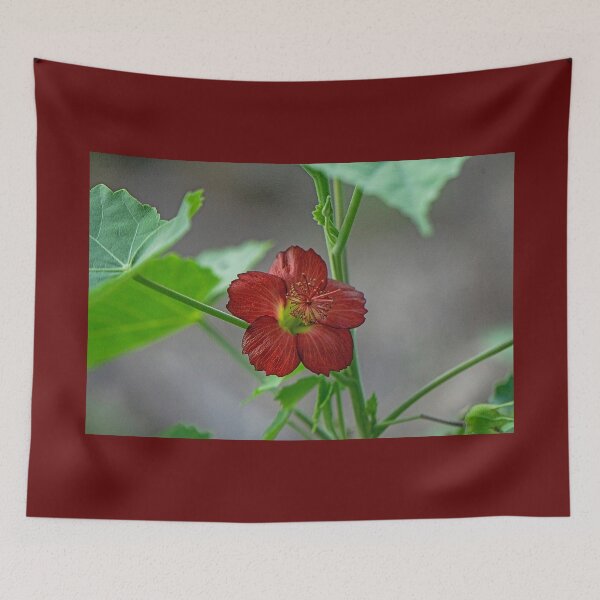 Item preview, Ko'oloa'ula designed and sold by Keola Makaiau.