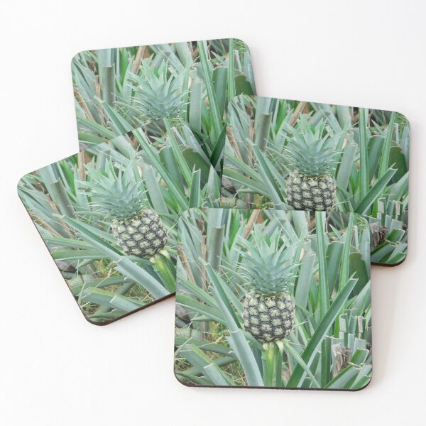 Item preview, A baby pine apple designed and sold by Matt Niichel.