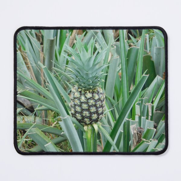 Item preview, A baby pine apple designed and sold by Matt Niichel.