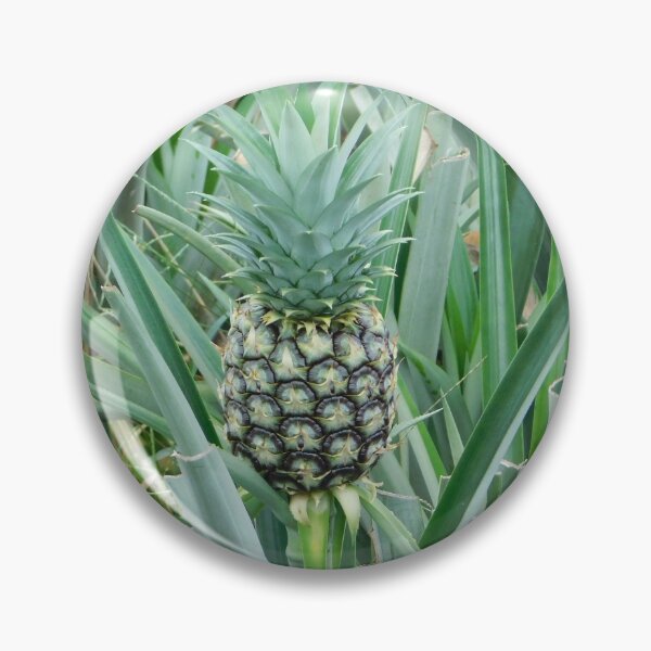 Item preview, A baby pine apple designed and sold by Matt Niichel.