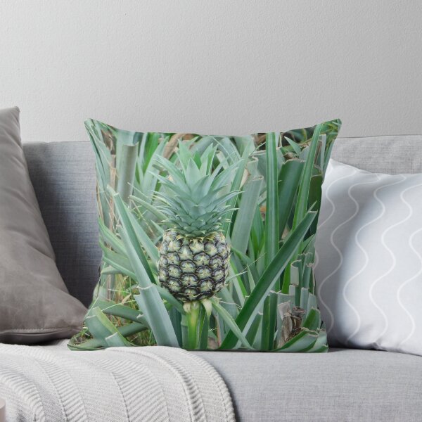 Item preview, A baby pine apple designed and sold by Matt Niichel.
