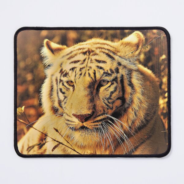 Item preview, give a present. for those you like, collect animals, the most beautiful animals on the planet #luk&artes designed and sold by LUK0arts.