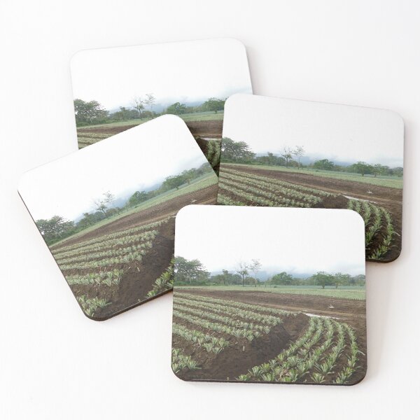 Item preview, A pineapple farm designed and sold by Matt Niichel.