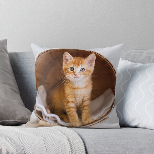 Item preview, Kitten in Basket designed and sold by AndreaBorden.