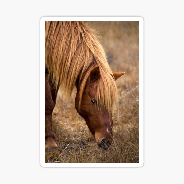 Item preview, Beautiful Wild Horse Grazing designed and sold by roadsidestills.