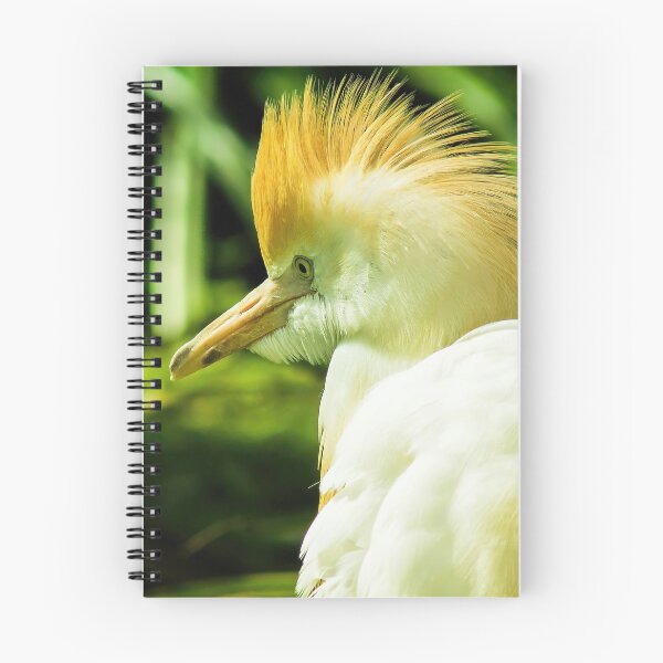 Item preview, Portrait of a Cattle Egret designed and sold by atomov.