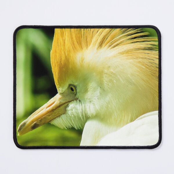 Item preview, Portrait of a Cattle Egret designed and sold by atomov.