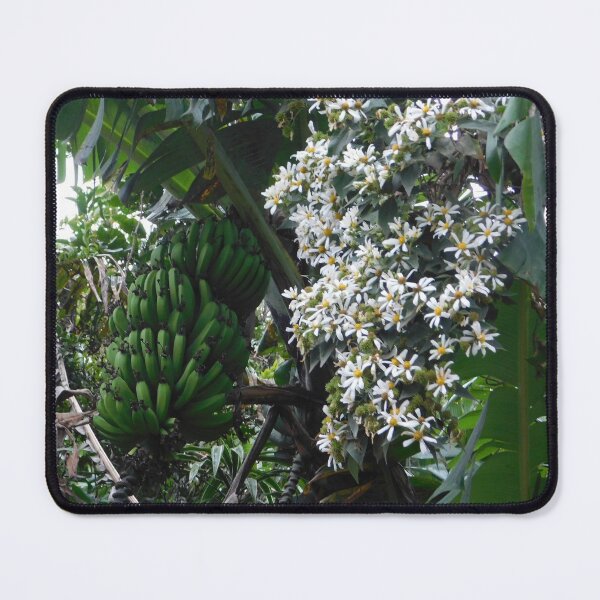 Item preview, Bananas! designed and sold by Matt Niichel.