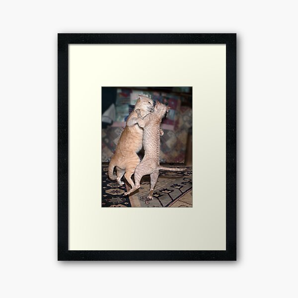 Cover image (cat calendar) Framed Art Print