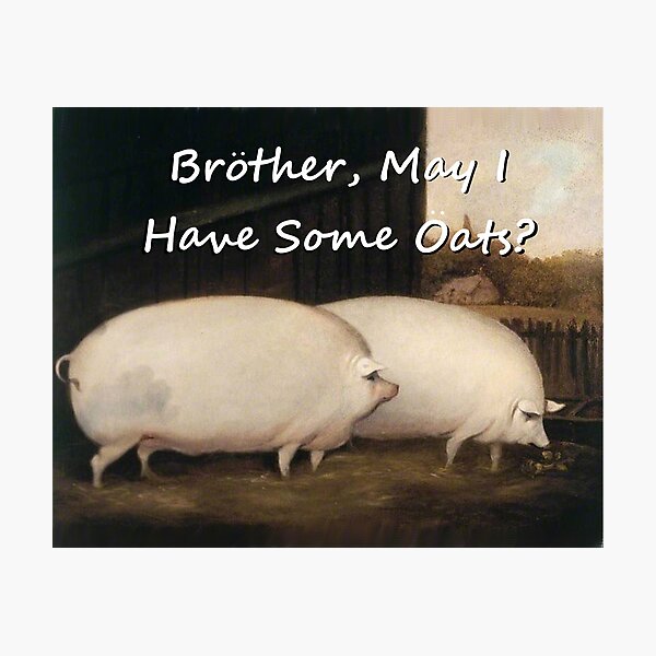 Item preview, Brother, may I have some Oats? Pig Meme designed and sold by QUAZZIMODO619.