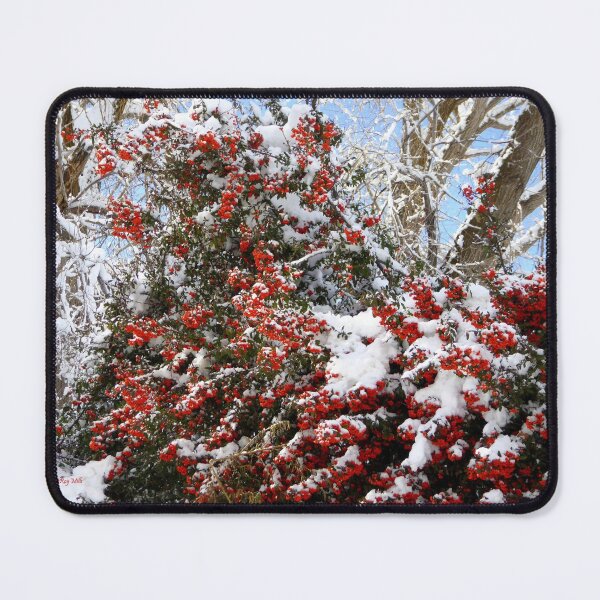 Item preview, Frosted Berries designed and sold by Shiva77.