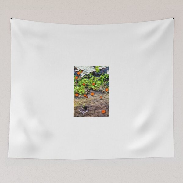 Item preview, natural abstract designed and sold by Manon Boily.
