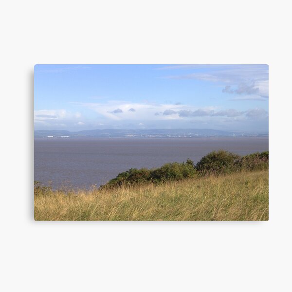 Wide open spaces Canvas Print