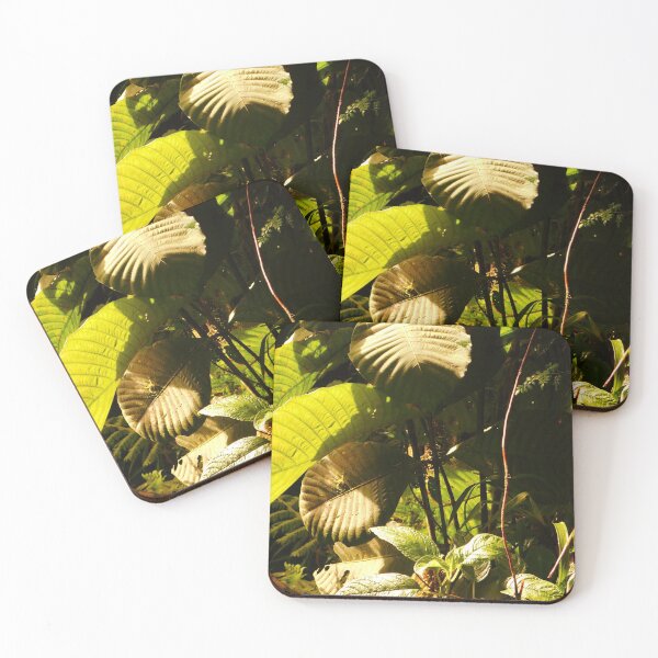 Item preview, Leaves in the sun light designed and sold by Matt Niichel.