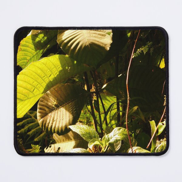 Item preview, Leaves in the sun light designed and sold by Matt Niichel.