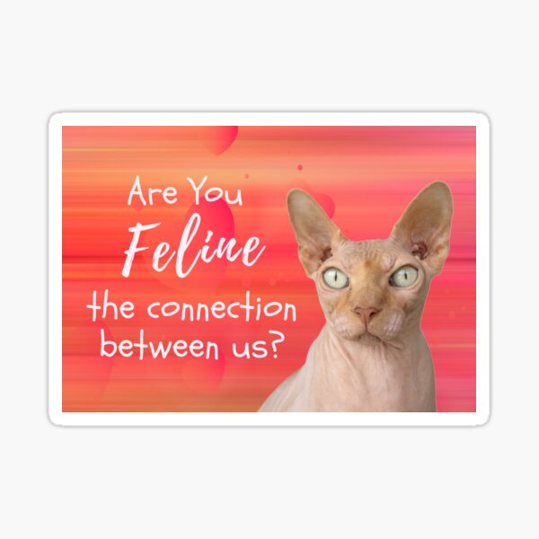 are-you-feline-the-connection-between-us-funny-valentine-pun-play-on