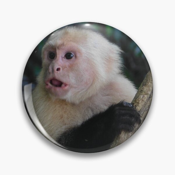 Item preview, Moneky designed and sold by Matt Niichel.