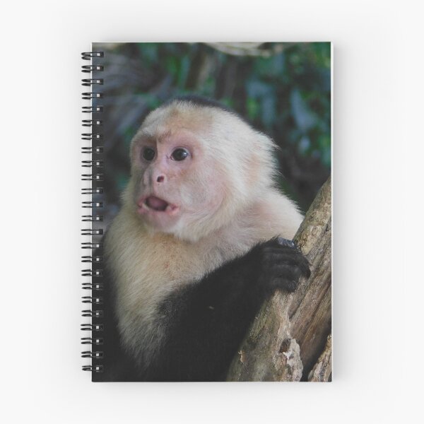 Item preview, Moneky designed and sold by Matt Niichel.