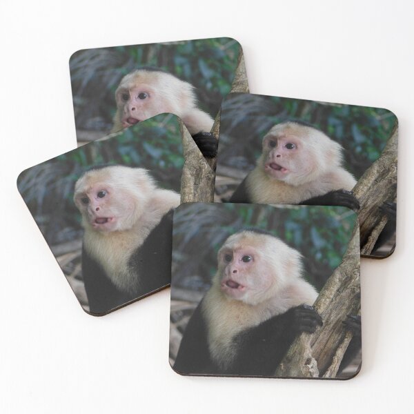 Item preview, Moneky designed and sold by Matt Niichel.
