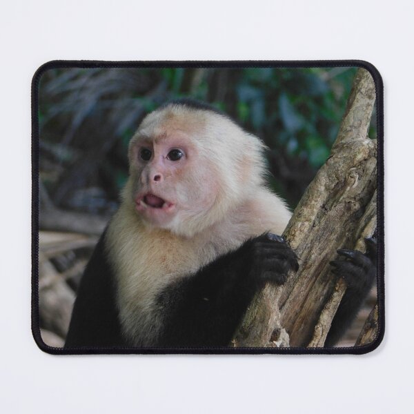 Item preview, Moneky designed and sold by Matt Niichel.
