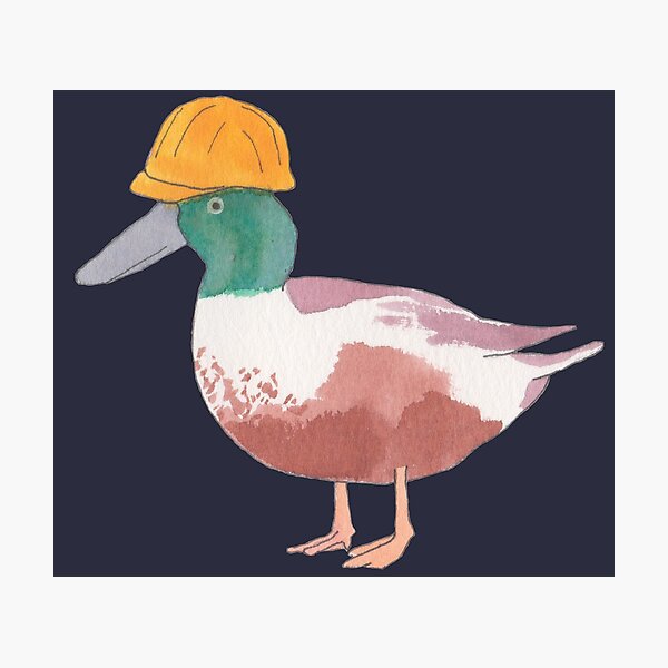 Item preview, Northern Shoveler duck with hard hat designed and sold by TheWaterBirds.