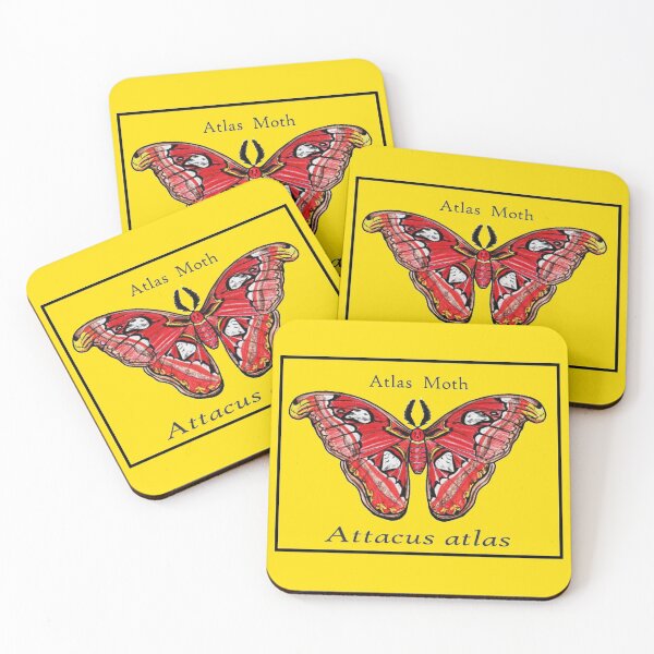 Item preview, Atlas Moth Labeled designed and sold by Paigeart4sale.