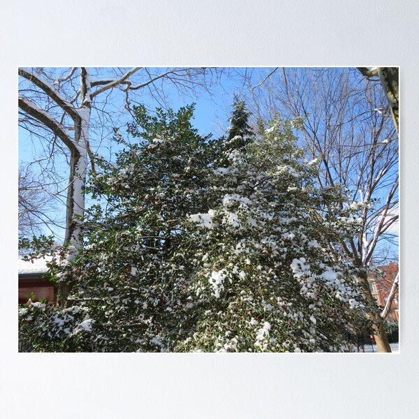 Item preview, Winter View, Snow View, Jersey City, New Jersey designed and sold by lenspiro.