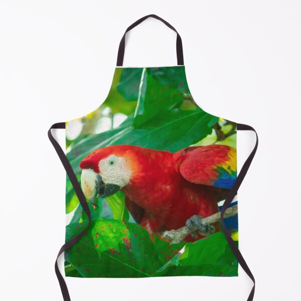 Item preview, Macaw designed and sold by fotorealo.
