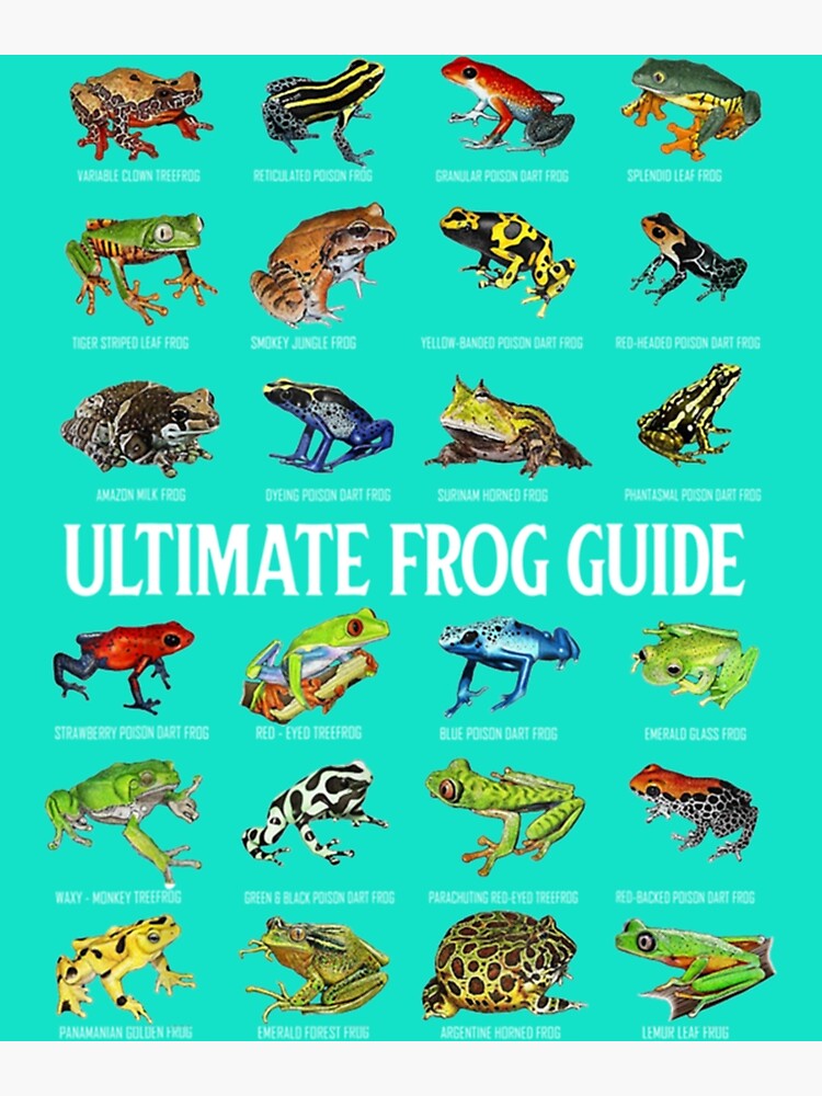"Ultimate Frog Guide " Poster for Sale by WilldBrush Redbubble