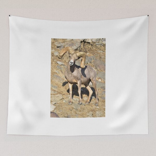 Item preview, Endangered Bighorn Ram  designed and sold by Scott Collins.