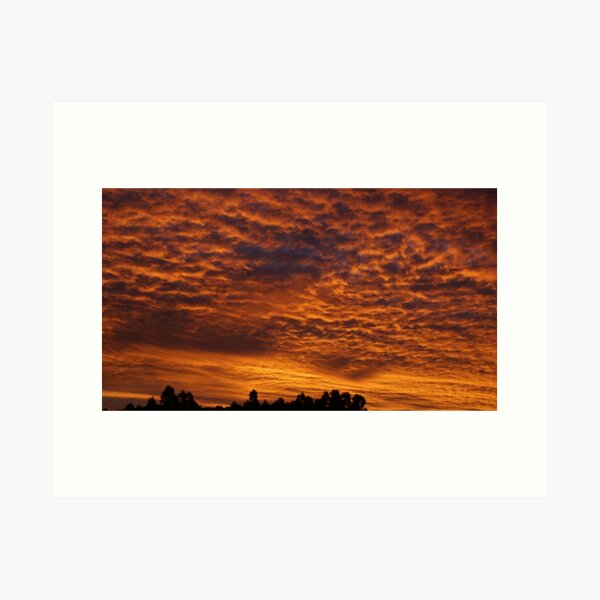 Item preview, Sunset by Adelaide artist Avril Thomas at Magpie Springs designed and sold by MagpieSprings.