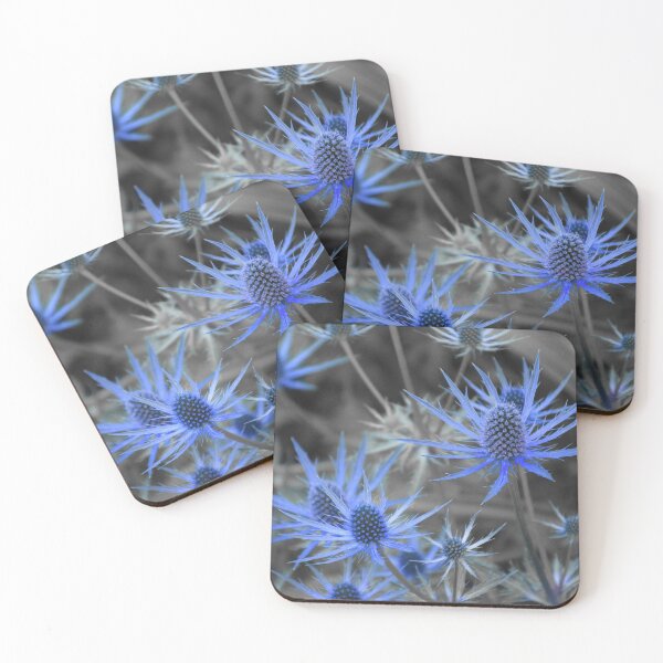 Item preview, Blue Alpine Sea Holly Eryngium alpinum - Selective Color designed and sold by SeaChangeDesign.