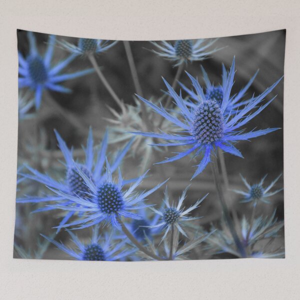 Item preview, Mar Alpino Azul Acebo Eryngium alpinum - Color Selectivo designed and sold by SeaChangeDesign.