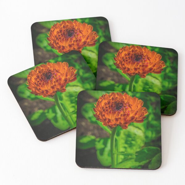 Item preview, Alaskan Flower designed and sold by Nick Caldwell.