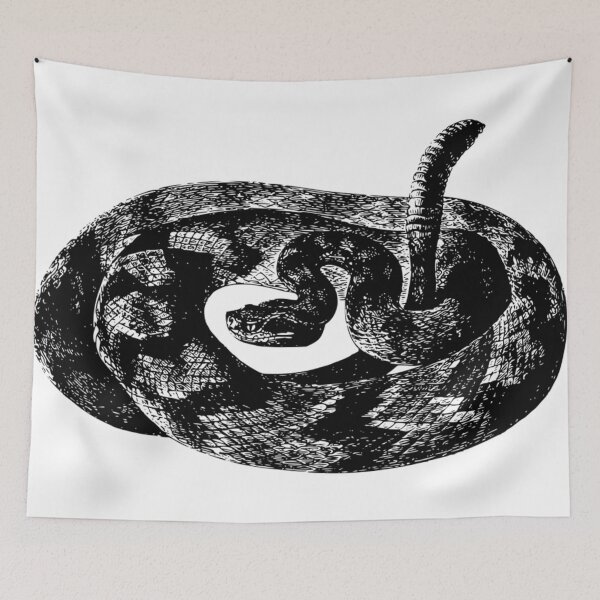 Item preview, Black and White Snake designed and sold by Bright Designs.