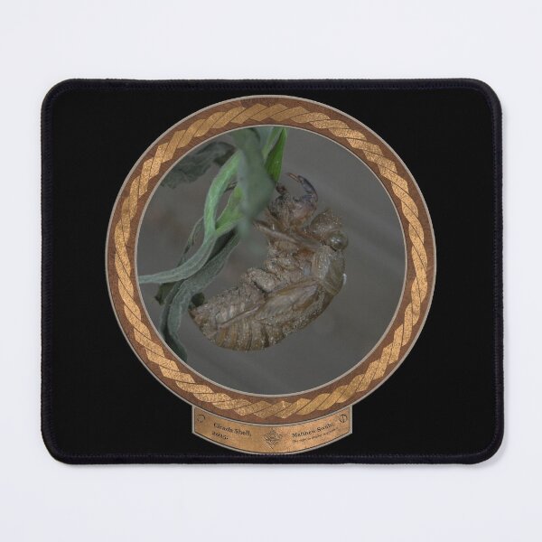Item preview, Cicada Shell designed and sold by Swabcraft.
