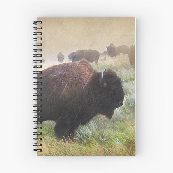Item preview, It's Raining Bison designed and sold by kayzsqrlz.