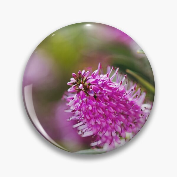 Item preview, Hebe Flower Summer Sun designed and sold by Joy Watson - Natural Light Photography .