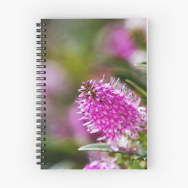 Item preview, Hebe Flower Summer Sun designed and sold by Joy Watson - Natural Light Photography .