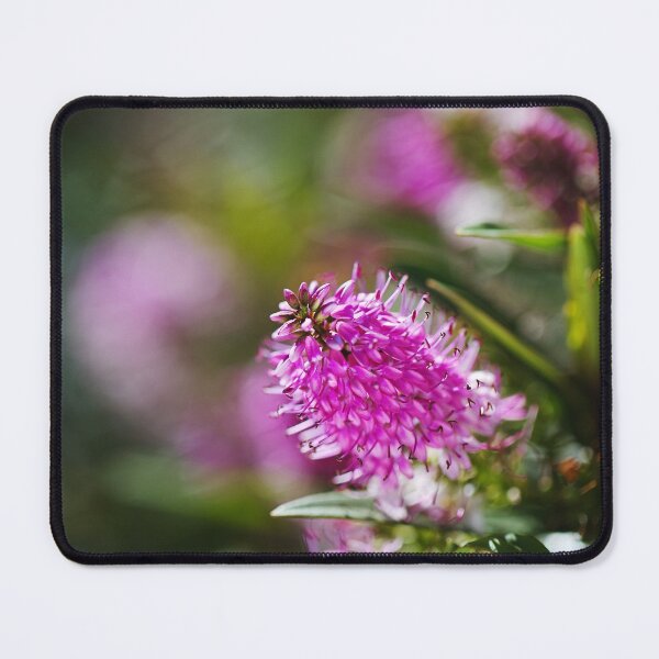 Item preview, Hebe Flower Summer Sun designed and sold by Joy Watson - Natural Light Photography .