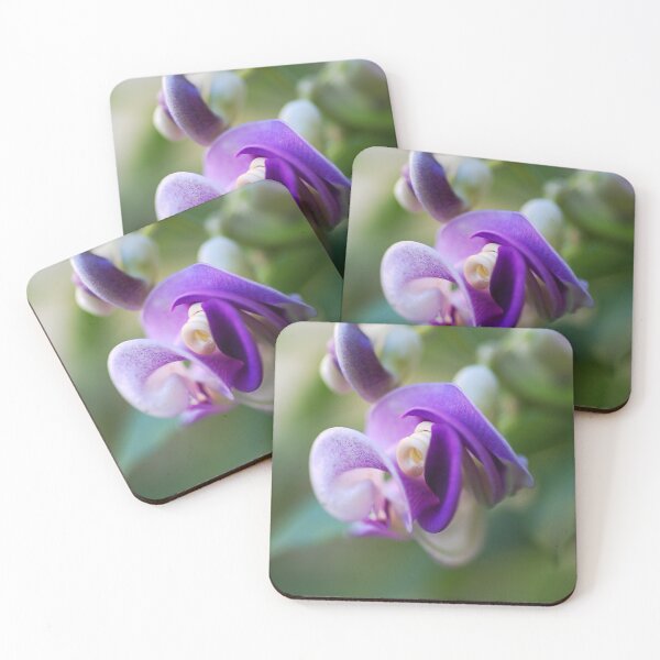 Item preview, Corkscrew Vine Flower Has Twists  designed and sold by Joy Watson - Natural Light Photography .