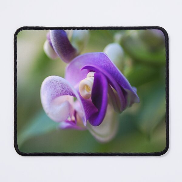 Item preview, Corkscrew Vine Flower Has Twists  designed and sold by Joy Watson - Natural Light Photography .