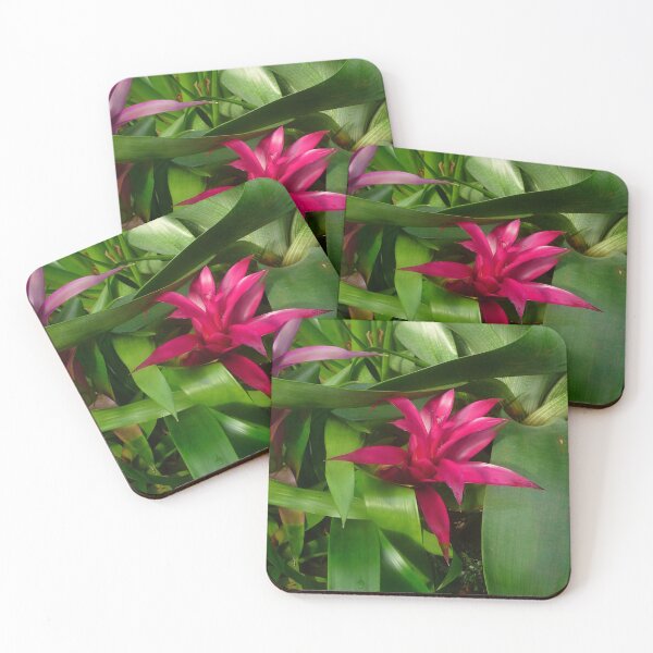 Item preview, Hot Pink and Green Plants designed and sold by HFGjewels.