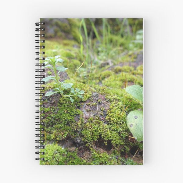 Item preview, Hazy Moss designed and sold by mackography.
